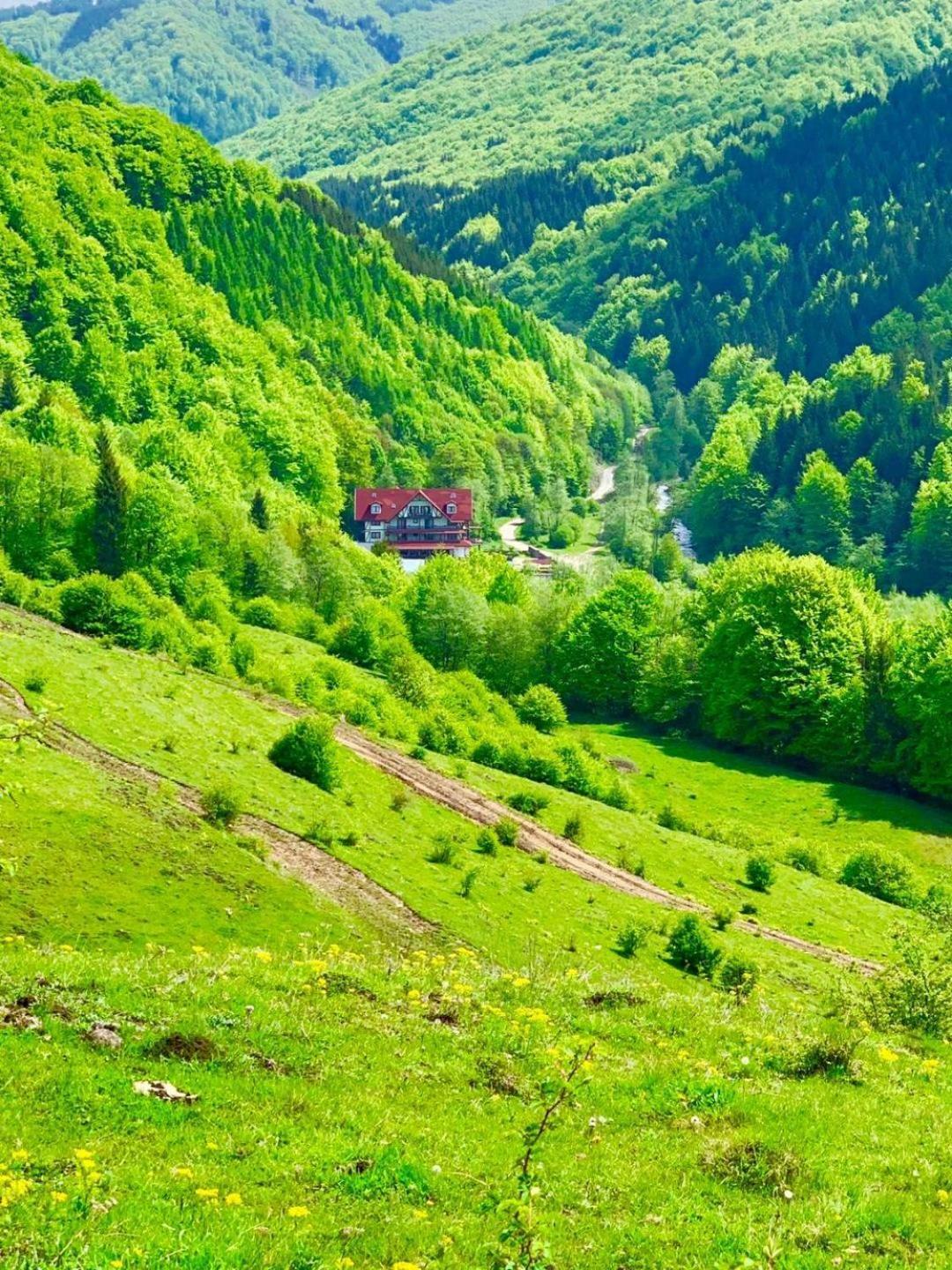 Cabana Izvoarele Doftanei Trăisteni Exterior foto